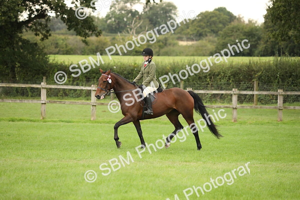 SBM_73718 - S41 - Ridden Equitation (Best Rider)