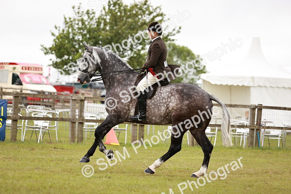 SBM_10928 - Class 81-84 - RIHS Ridden hunters Inc Ladies Hunter