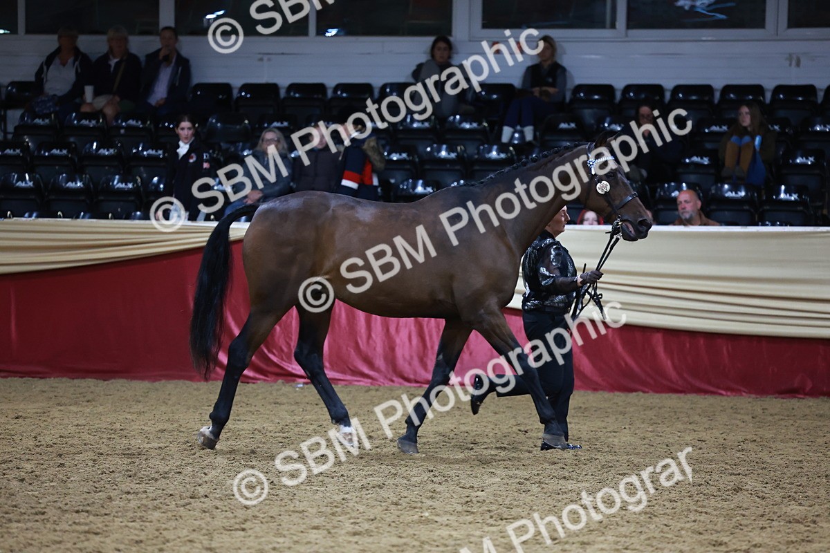 SBM_20632 - Class I - Ridden Pony Champ