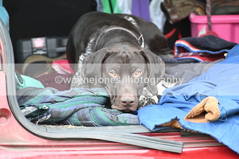 WJ6_4197 - Time at Jump 12:22 to 13:03