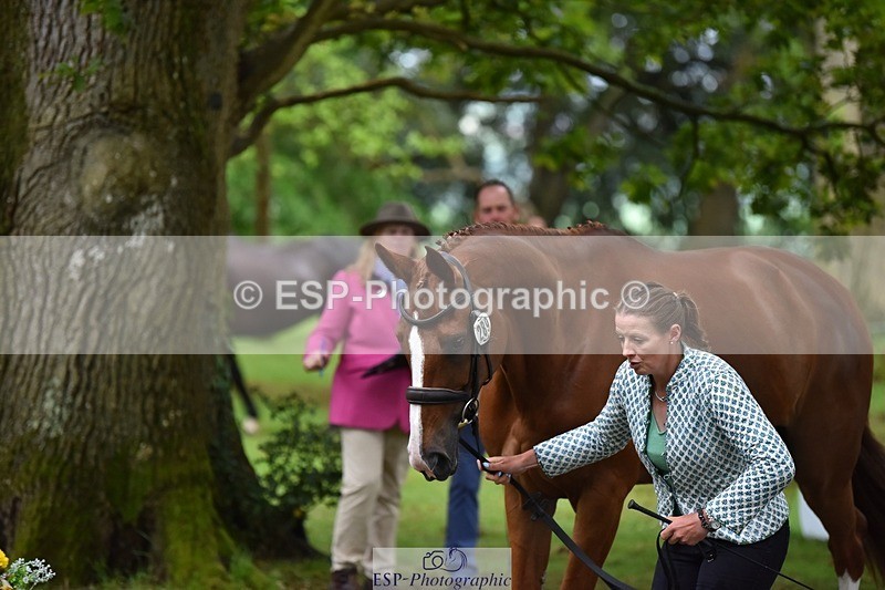 240522-172754-01625 - 289-JUST_A_JOLLY-Flora_Harris