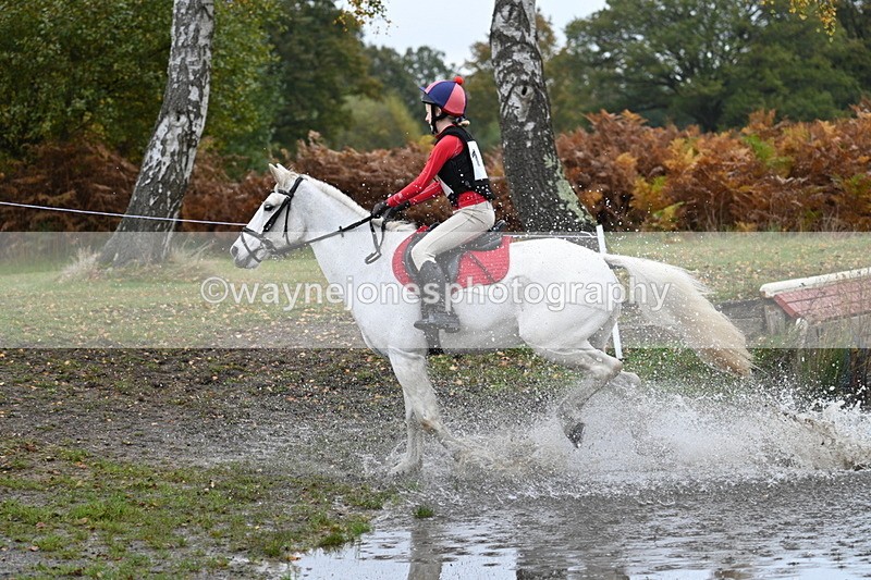WJ7_1564 - 80cm Cam 2 Water Time 11:47 to 12:17