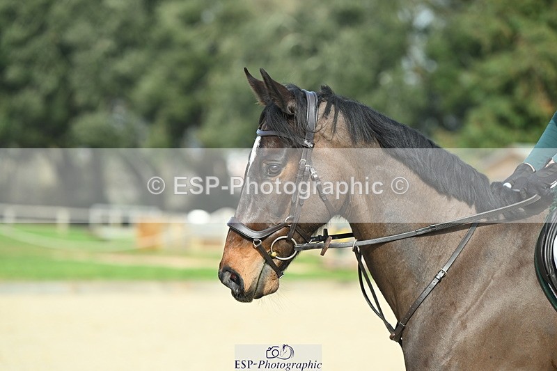 250309A-140026-01534 - Cls 03 90cm 13.50 to CW