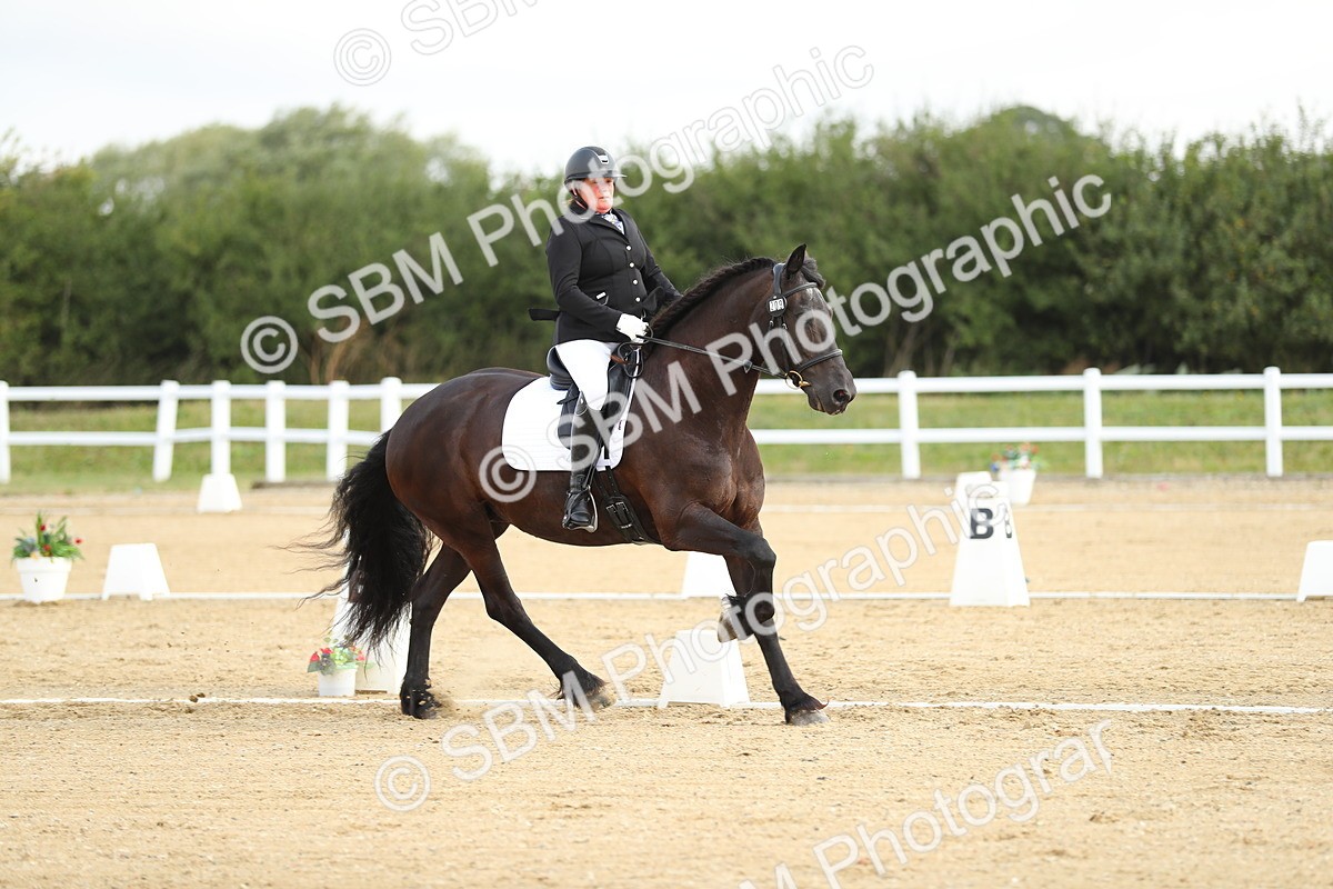 SBM_015046 - Class 13 - Novice 23 - 8,30-9.33