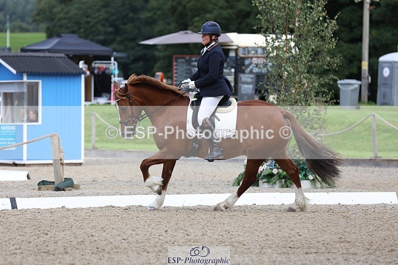 230813-095034-06157 - Cls 11 Elem Bronze Start to 10.50 break