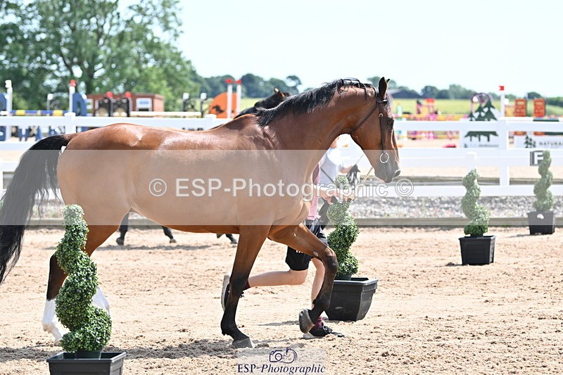 240717A-150314-02488 - Trot Up 3pm to 4pm