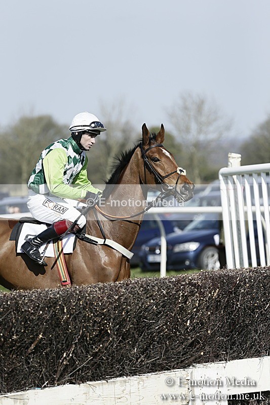 PtP 260317 149 - Mendip Farmers Point-to-Point Ston Easton 26/03/17