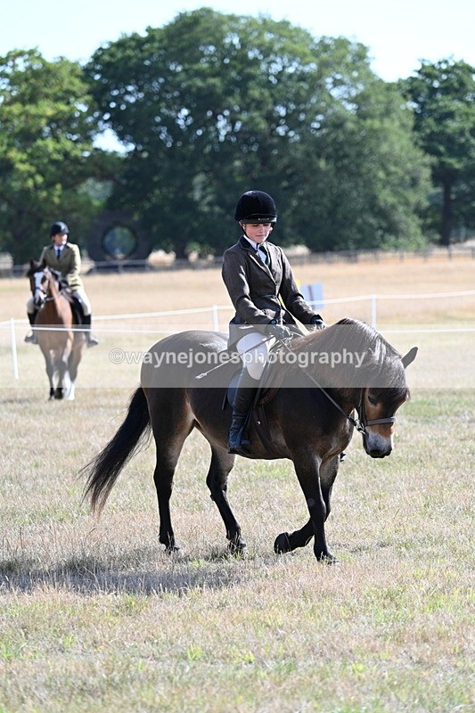 WJ7_2922 - Class 8 Ridden Tack & Turnout