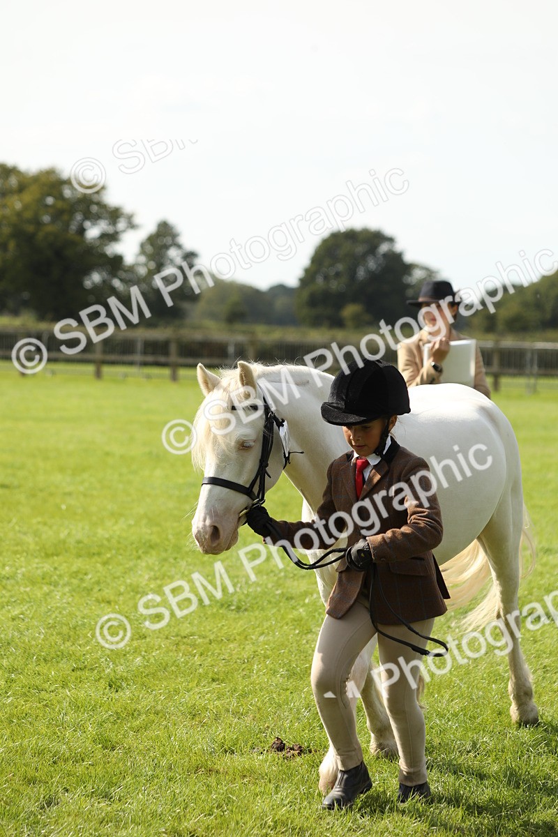 SBM_67810 - S39 - Junior Handler 8  Years & Under