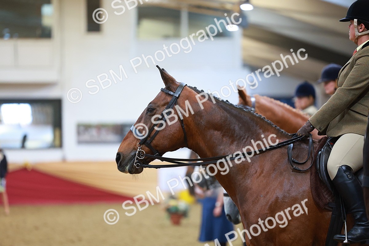 SBM_09455 - Class 102 - HOYS Veteran Qualifier - Ridden Veteran