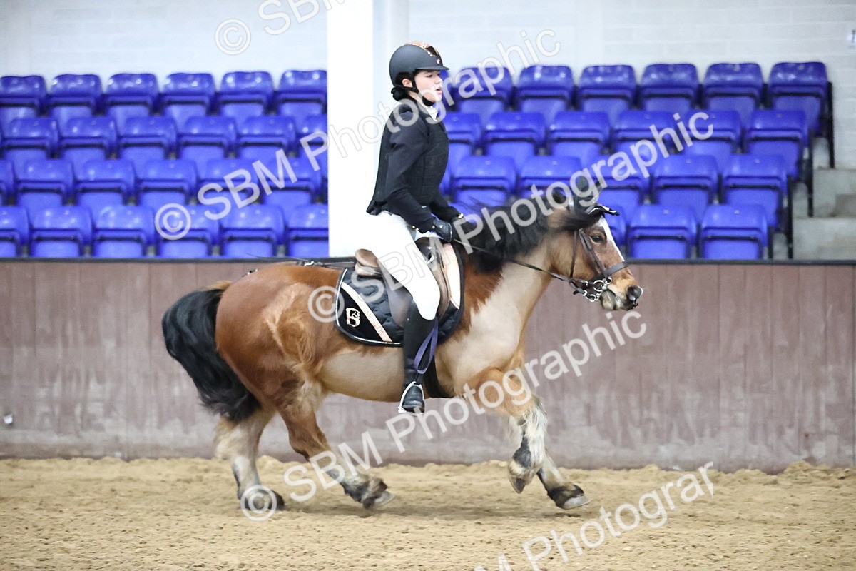 SBM_000243 - class 1 - 40cm