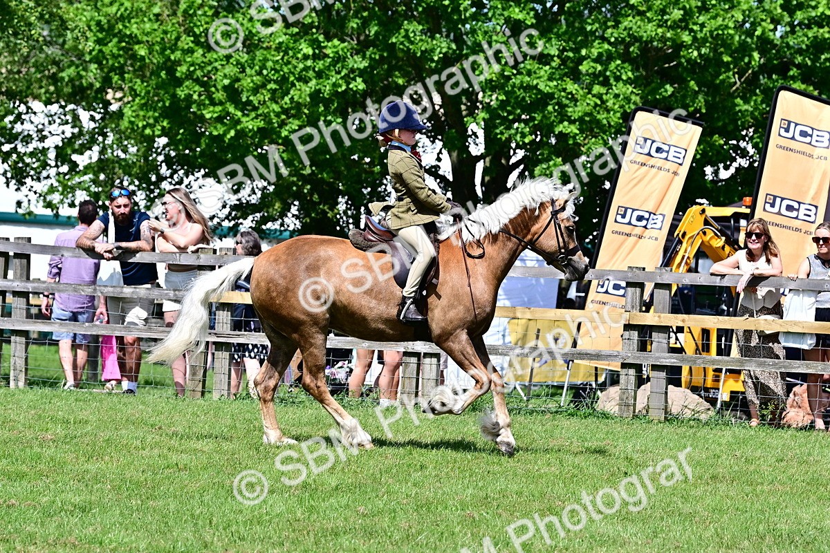 SBM_08023 - Class 61-62 - TSR  M&M Ridden Amateur of the Year