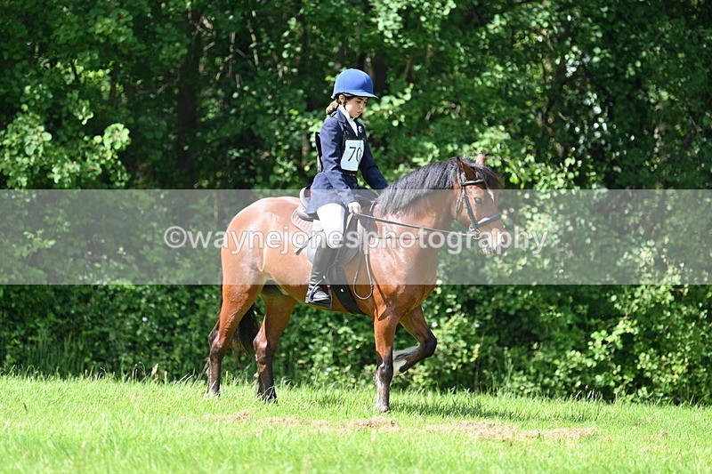 WJ7_1048 - Class 11 Condition & Turnout