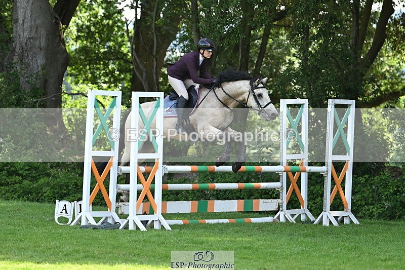 250704A-102528-06970 - Cls 25 Snr British Novice and 90cm