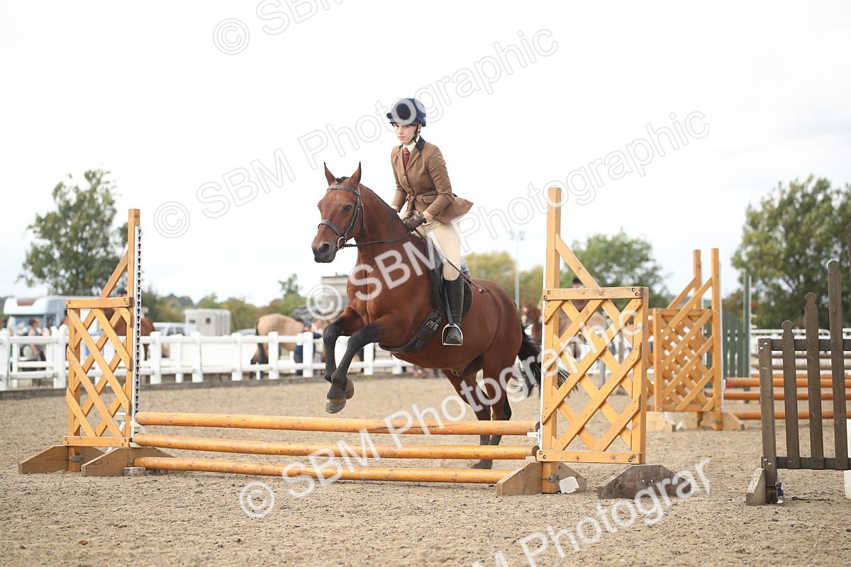 SBM_15290 - Class 506b - Working Veteran - 50cm (20+)