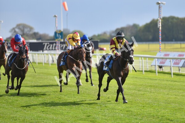 yr12052021r7-30 - Race 7 4.50 pm Conundrum HR Consulting Stakes