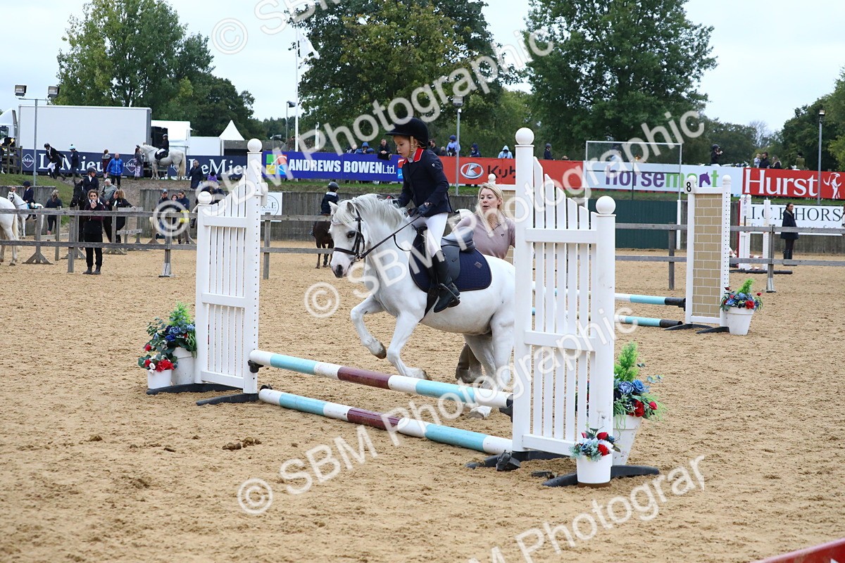 SBM_68374 - J3b - Mini Tour Junior Pony 40cm Championship
