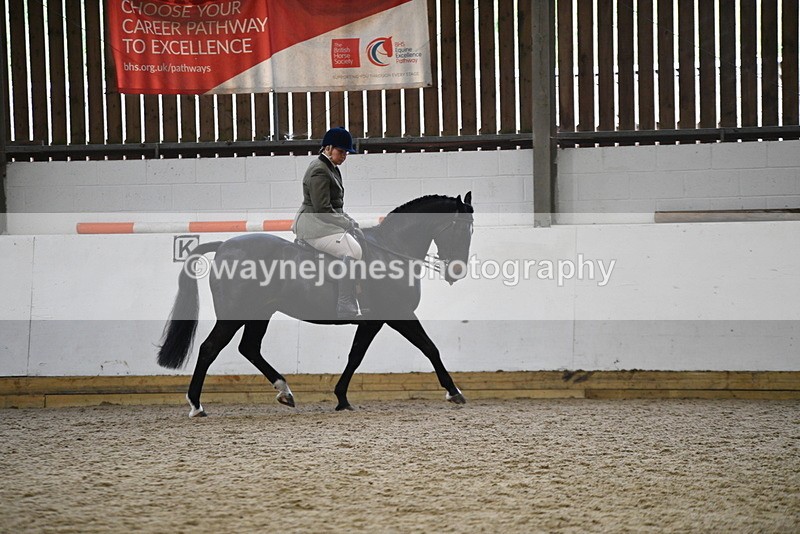 WJ5_7811 - Class 13 Ridden Part Breed