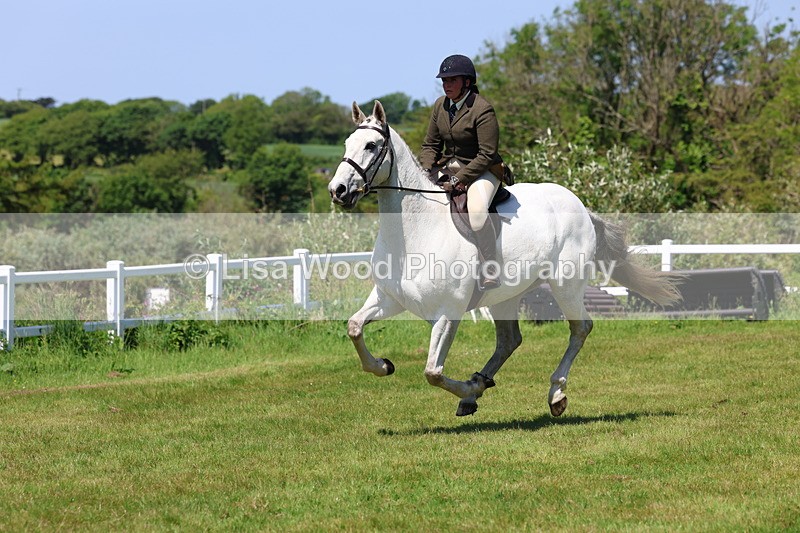 3E7A8100 - Working Hunter Championship