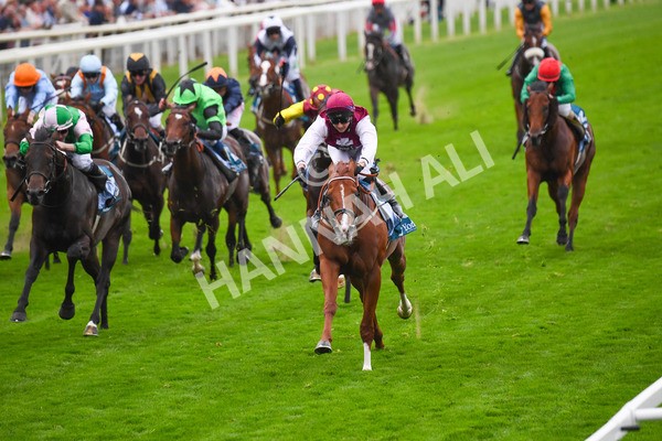 230823-Race 7-Zoulu Chief-0944 - Race 7 5.20pm Sky Bet Nursery Handicap