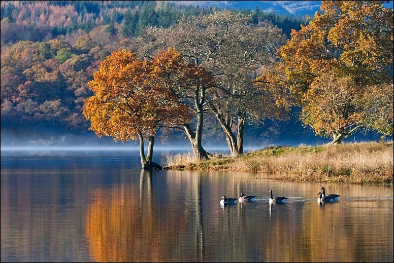 Autumn Morning - Landscapes