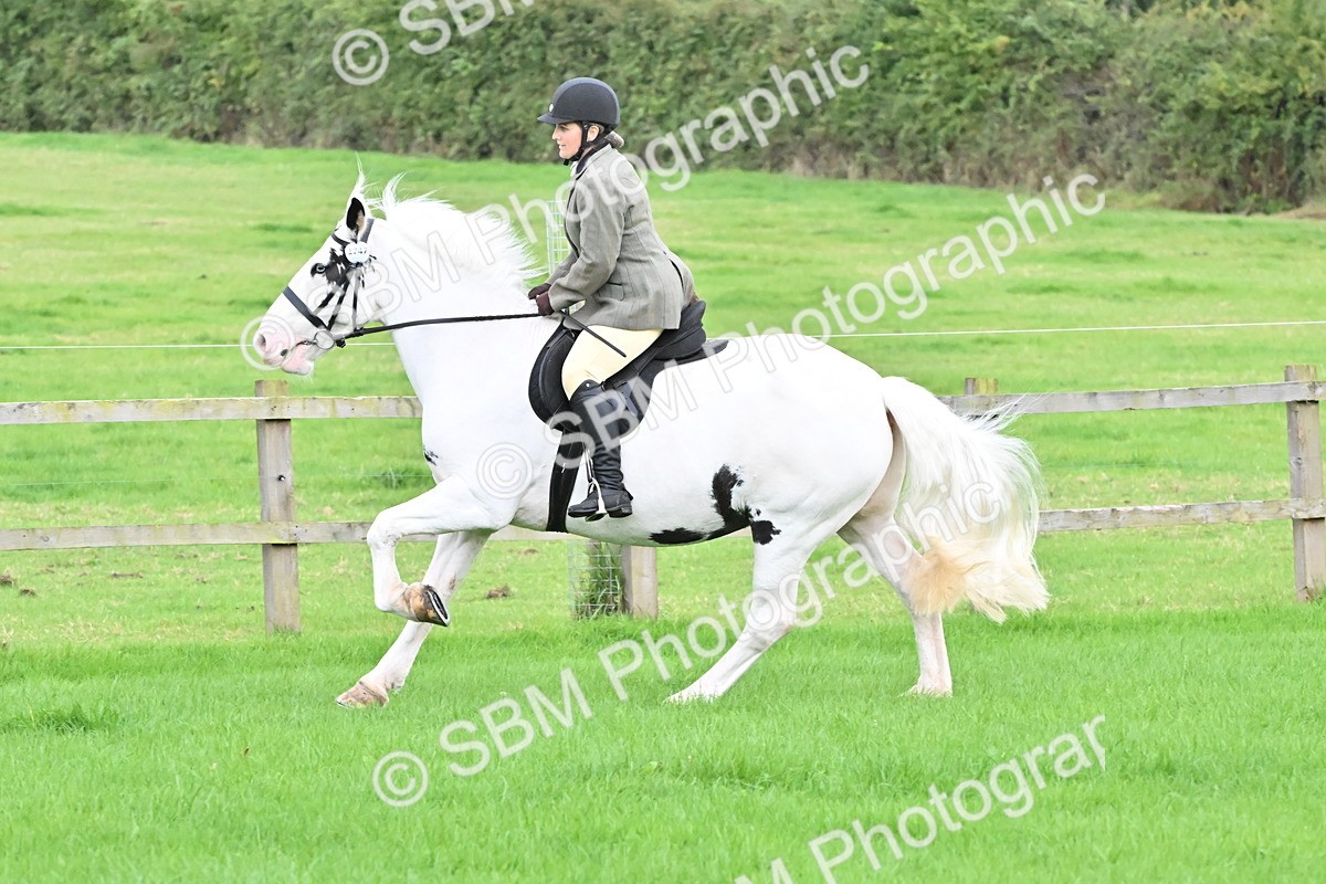 SBM_42902 - S12 - Family Horse & Pony