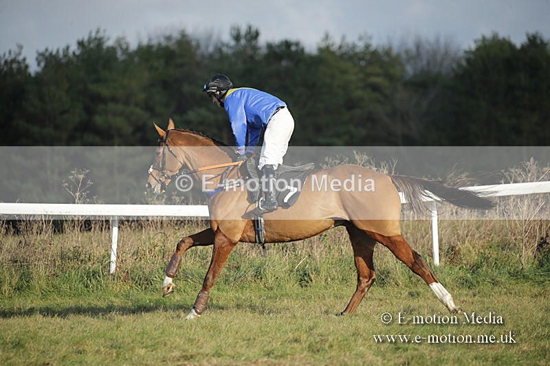 PtP 011219-0267 - Hursley Hambledon Hunt Point-to-Point 01/12/19