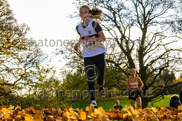 NatRel25-913754 - Young Female Set Two