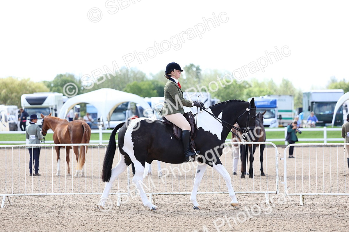 SBM_12019 - Class 308 - Ridden Coloured Horse