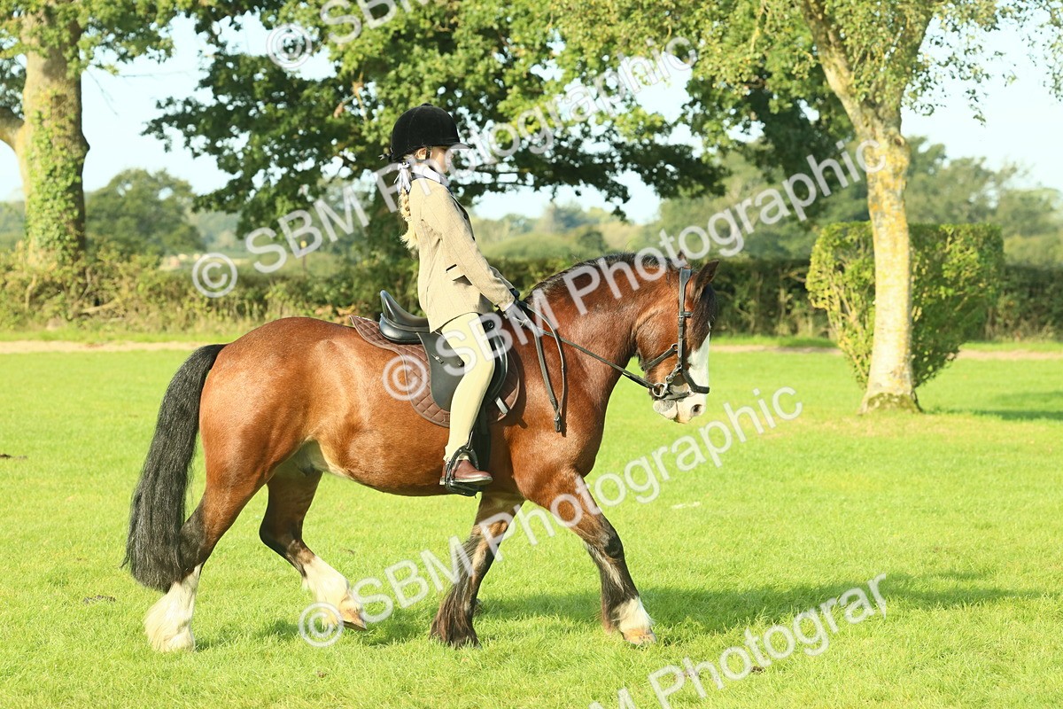 SBM_59817 - S38 - Starters Ridden Showing