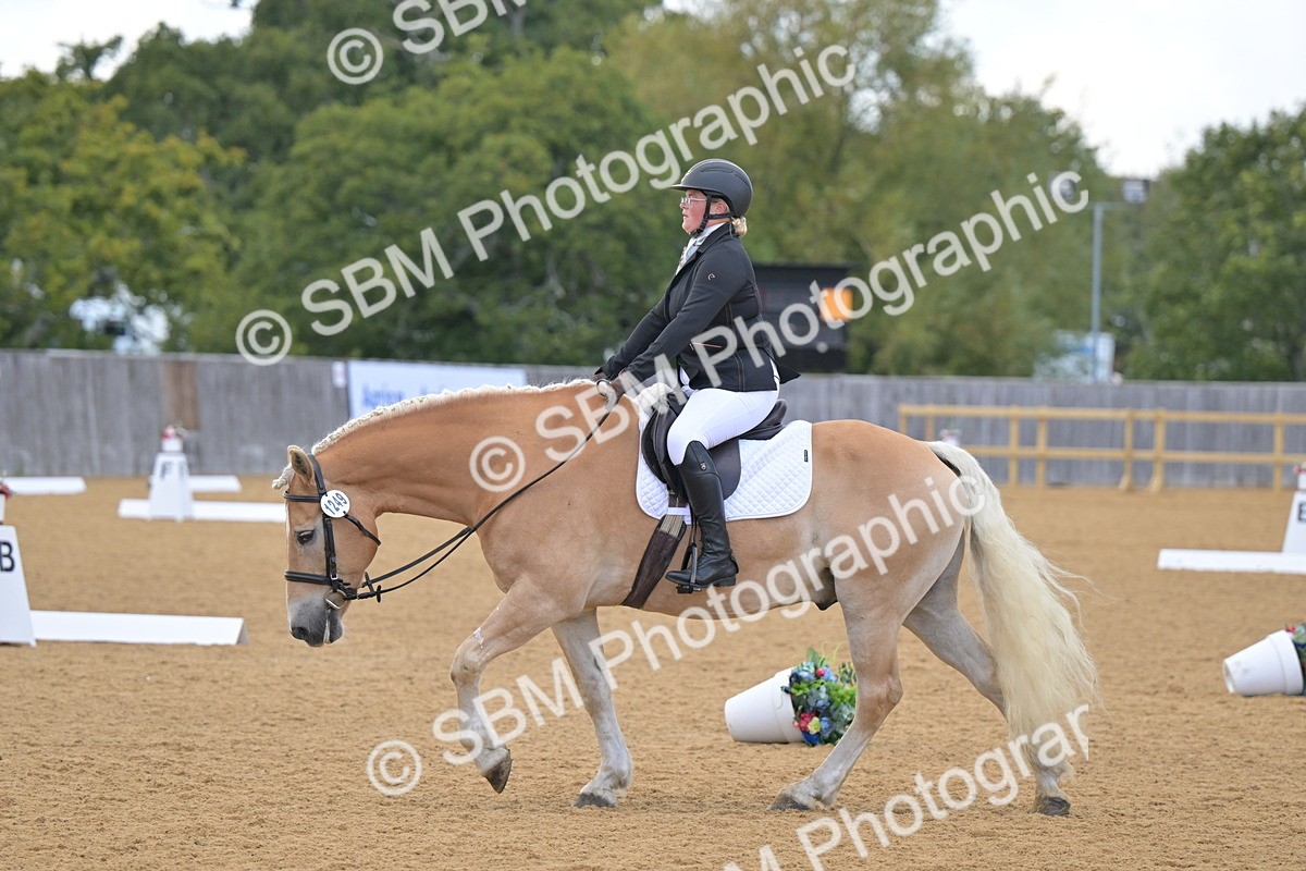 SBM_11157 - D3 - Small Tour Championship Intro 3