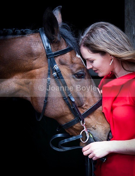 Exracehorse_5 - Equine Gallery Portfolio
