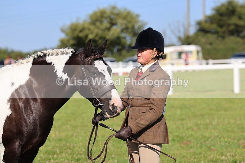 IMG_1401 - Class 28: Ridden Plaited Coloured Pony