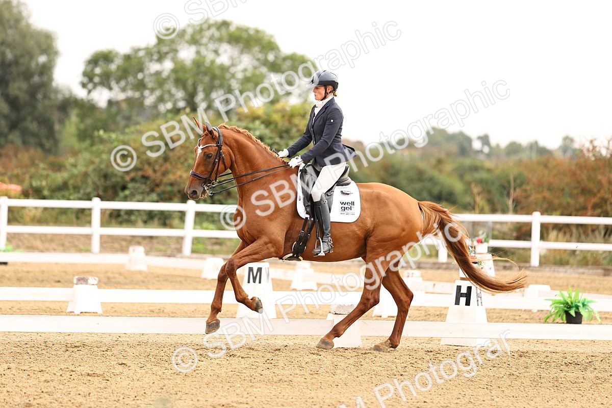 SBM_011650 - Class 1 - Medium 5