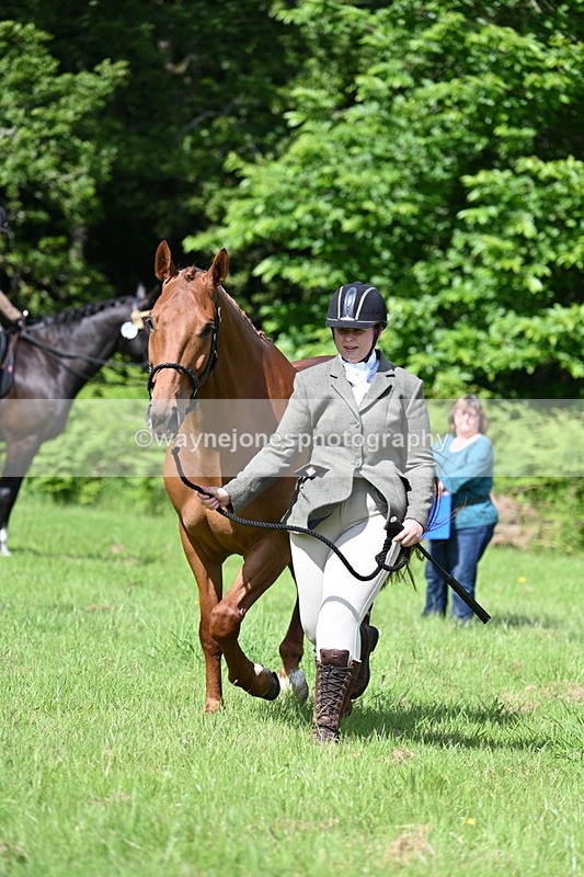 WJ7_1081 - Class 11 Condition & Turnout