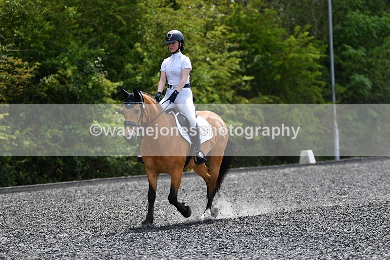 WJ5_0969 - Time 13:45 to 14:20