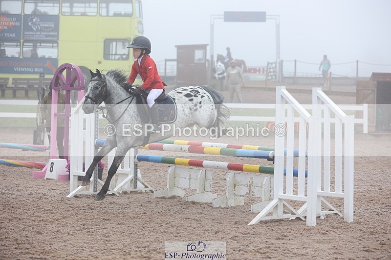 240630A-083235-11239 - Cls 30 British Novice and 80cm Open