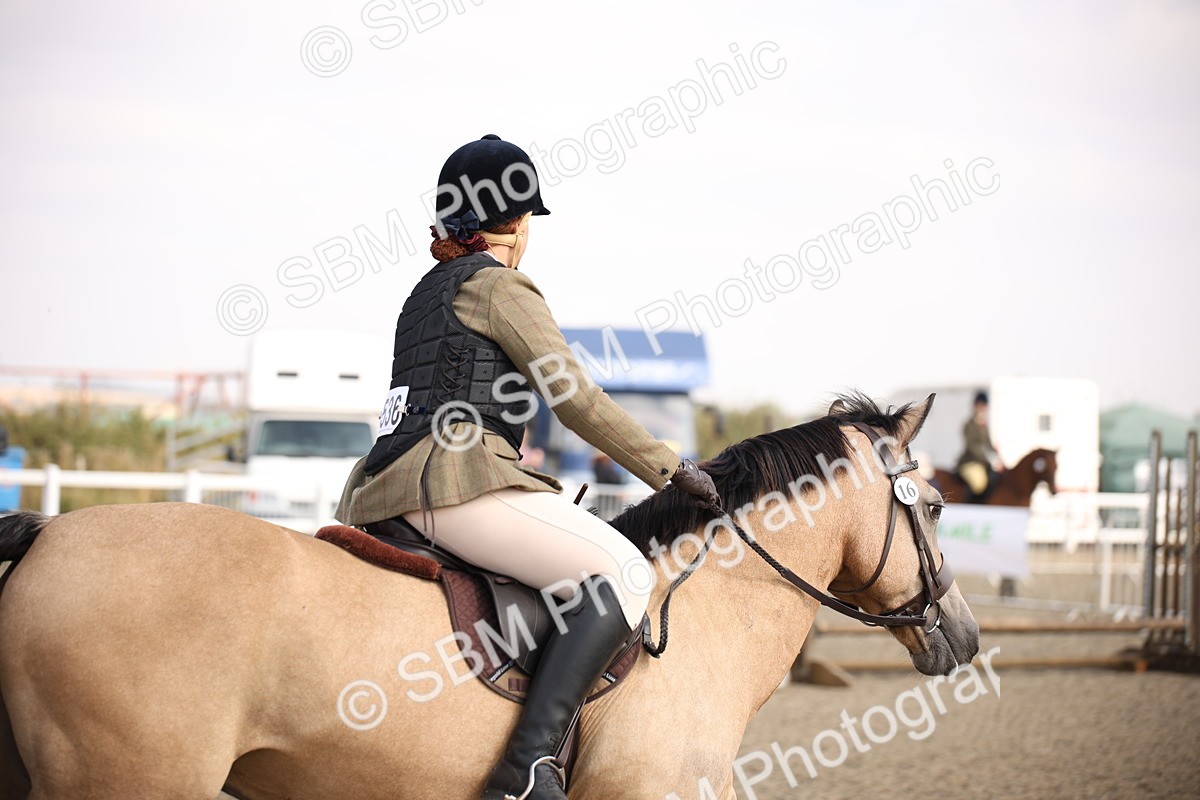 SBM_14158 - Class 407a - Working Veteran 60cm (15-19