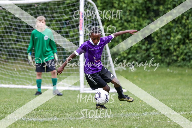 1DX31184 - Brook Field V Goddard Park