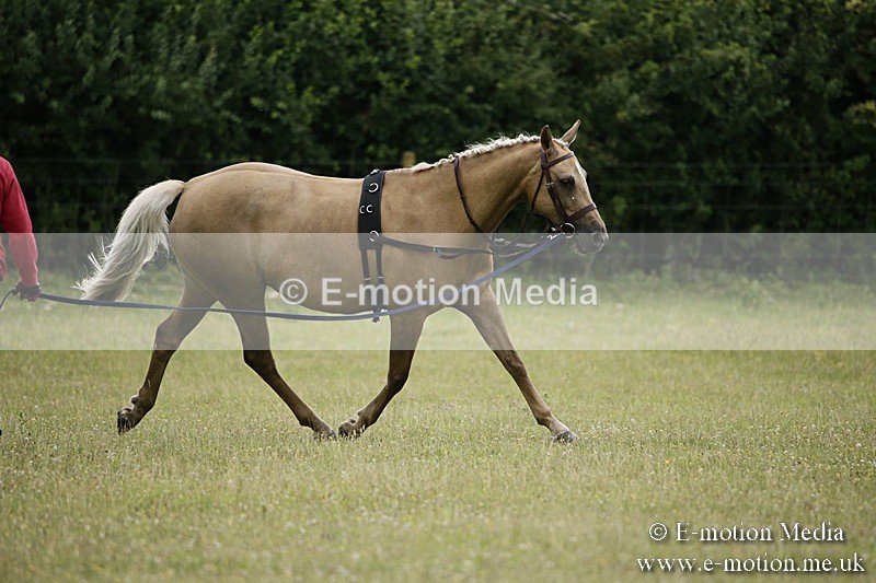 BVR160717-1 - Caught on Camera 16/07/17