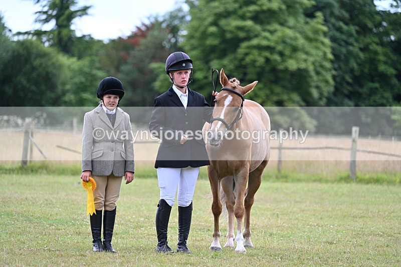 WJ7_7346 - Champs