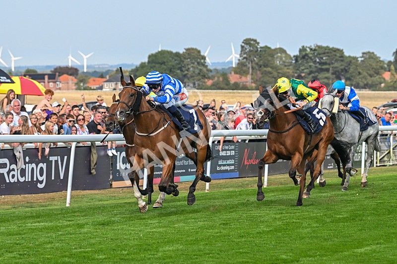 240825-Race 5-This Years Love-3406 - Race 5