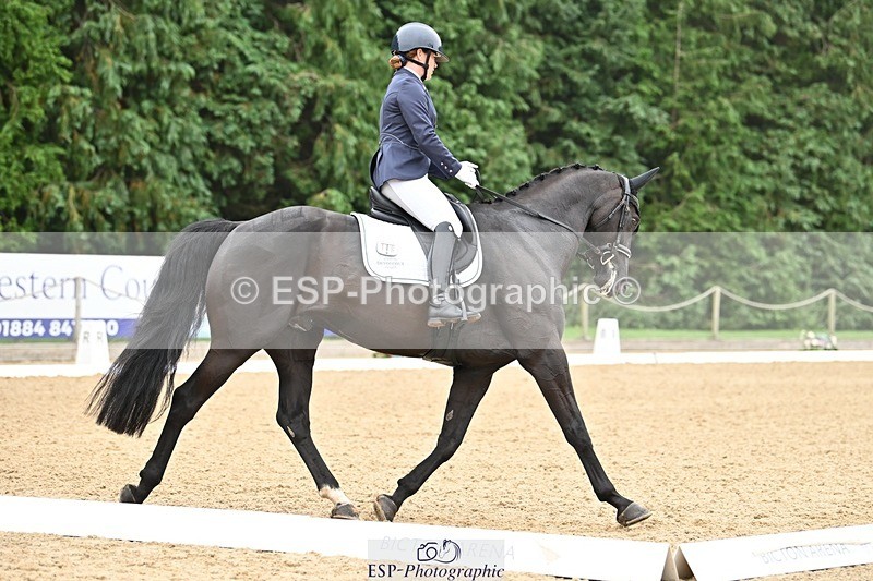 240811-115839-05313 - 118-Katie.Kneen-Springtime.Evergreen