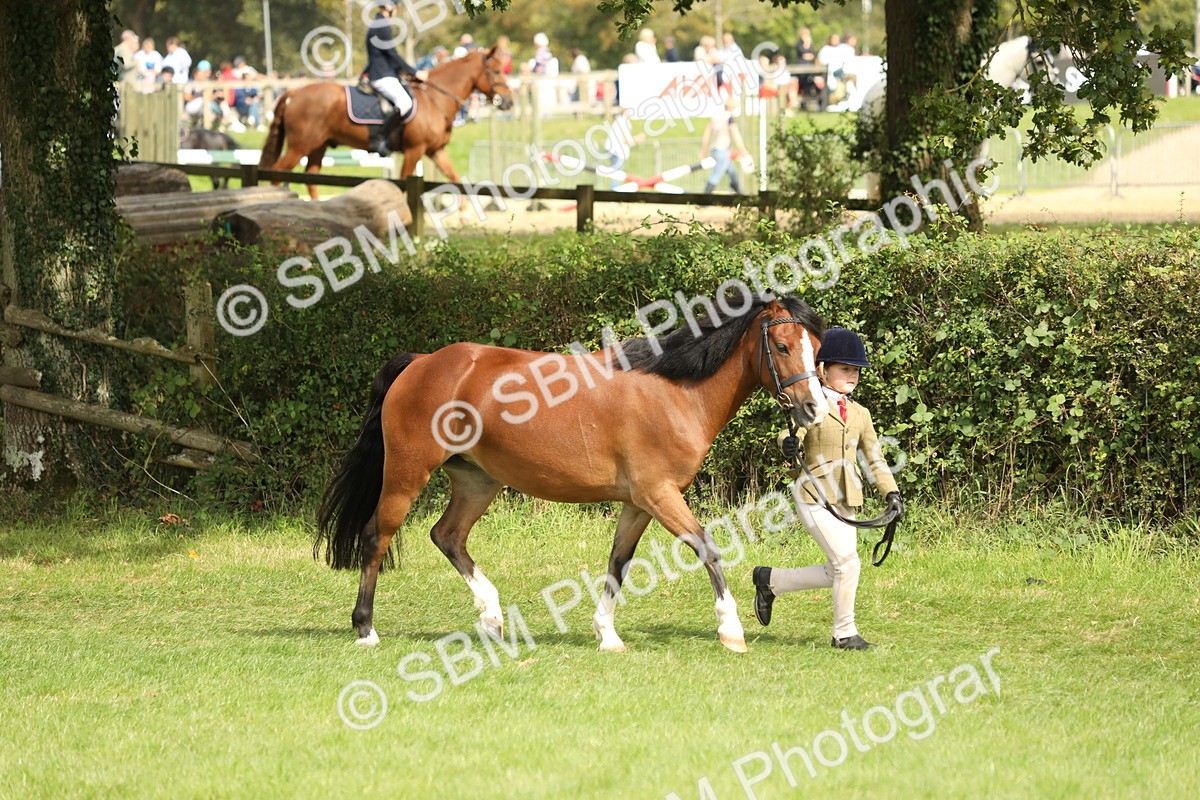 SBM_67703 - S39 - Junior Handler 8  Years & Under