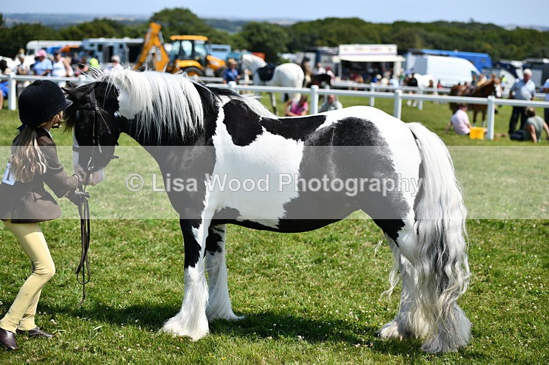 DSC_7678 - Class 64: Coloured Pony 4yrs & over