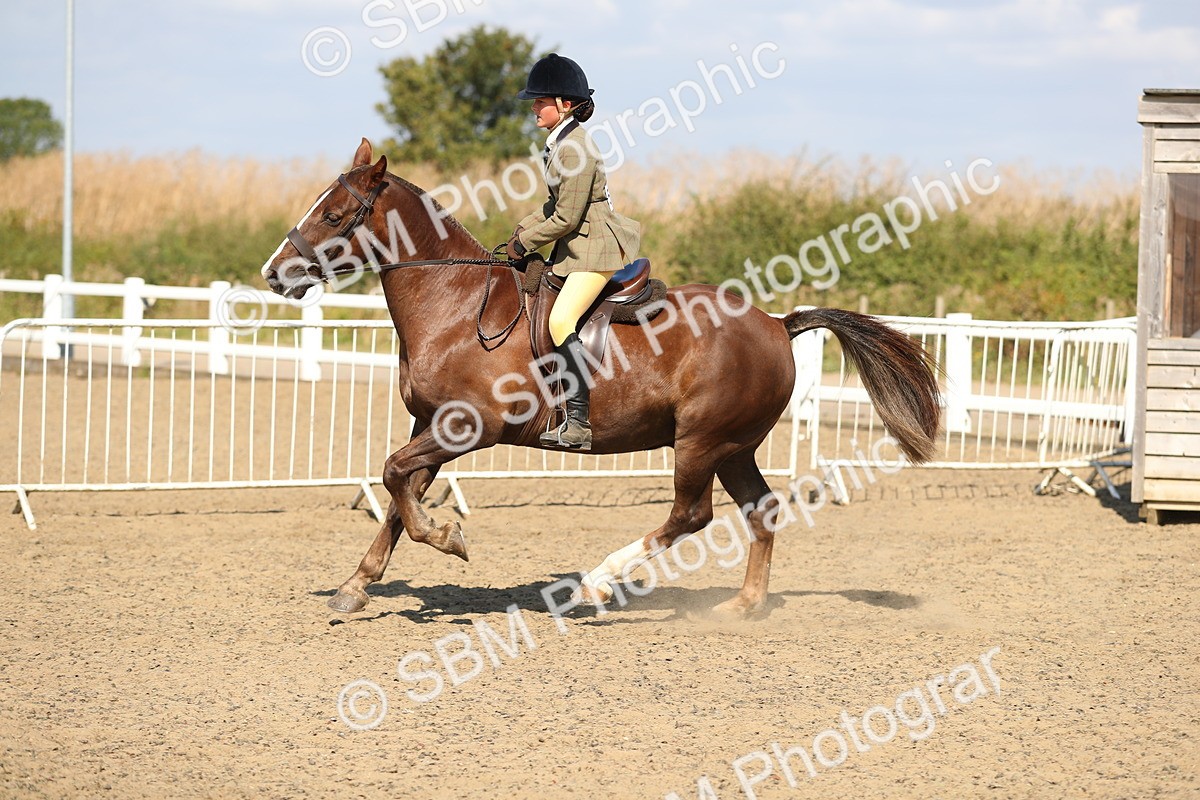 SBM_03156 - Class 44 Riding Club Horse/ Pony
