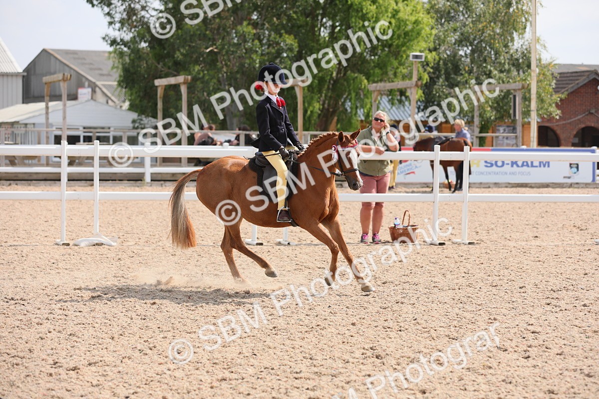 SBM_14761 - Class 310 First Ridden Pony