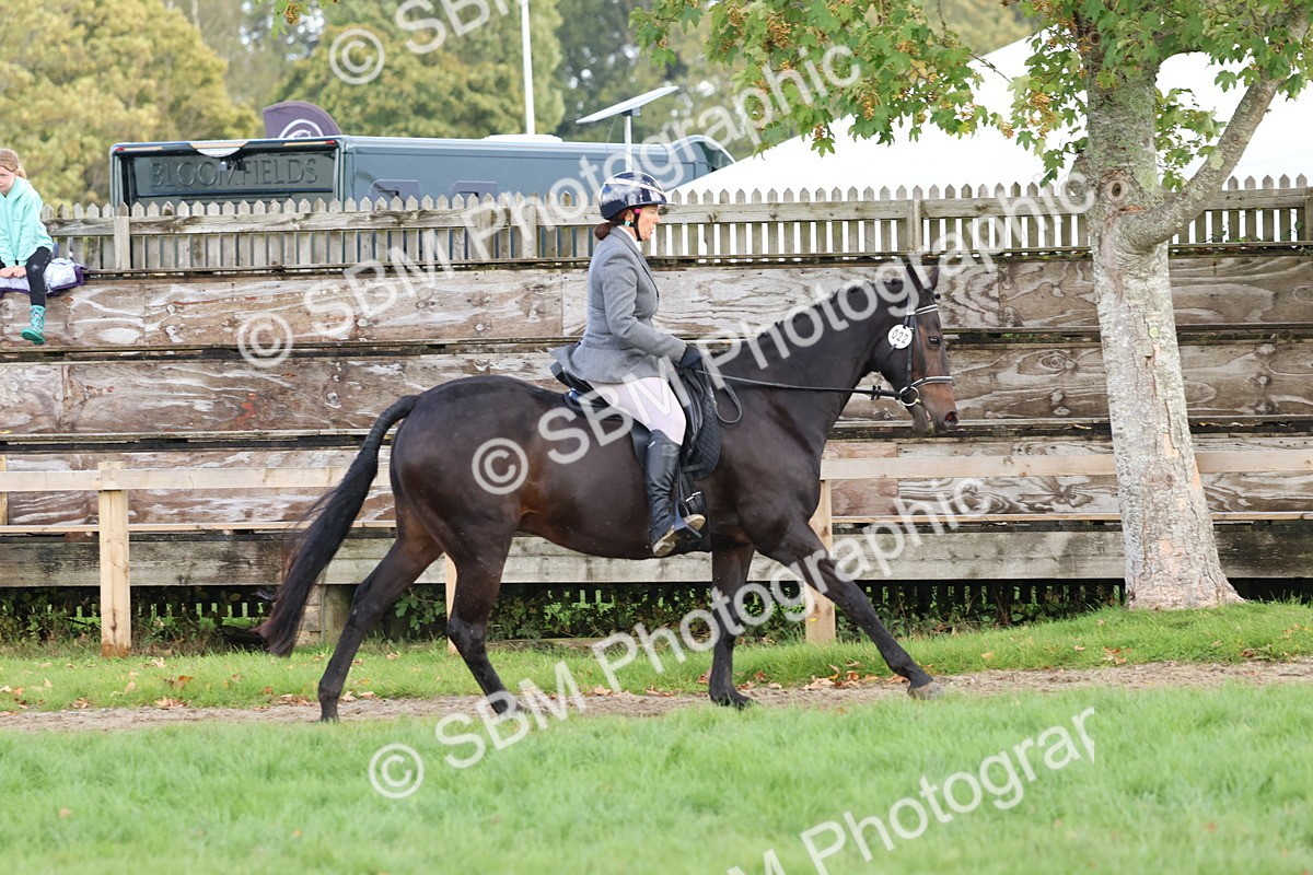 SBM_47669 - S28 - Veteran Ridden