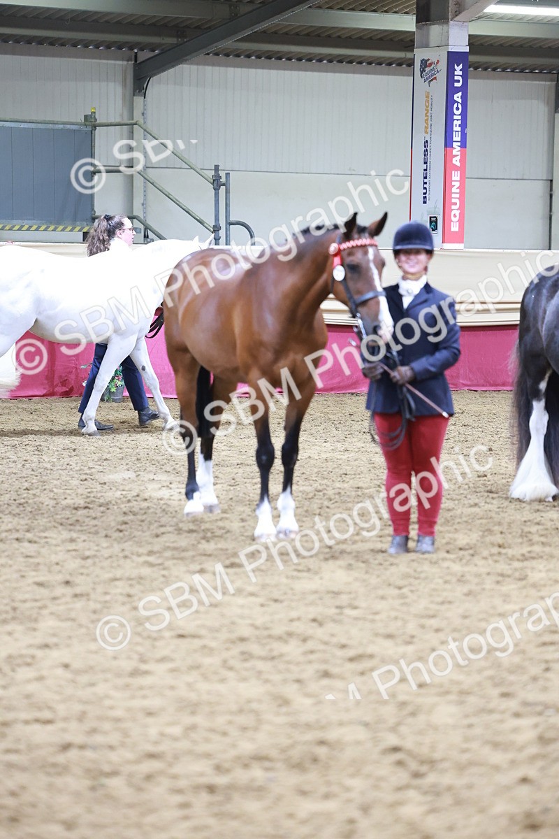 SBM_20133 - Class C - Novalty Champ