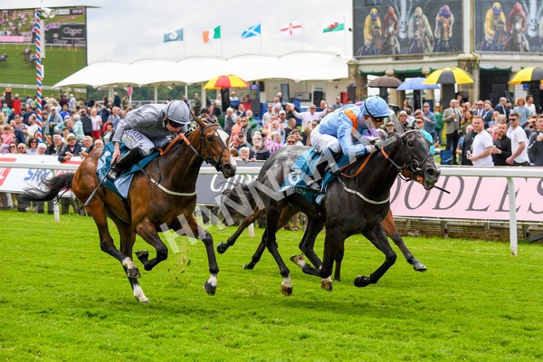 190523-Race 1-Got To Love A Grey-0170 - Race 1 1.50pm Clipper EBF Marygate Fillies' Stakes